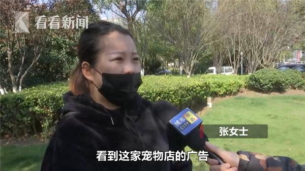 「中国经济网」高价买回宠物猫4天就死了 商家却这样解释……