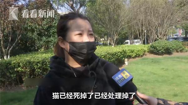 「中国经济网」高价买回宠物猫4天就死了 商家却这样解释……