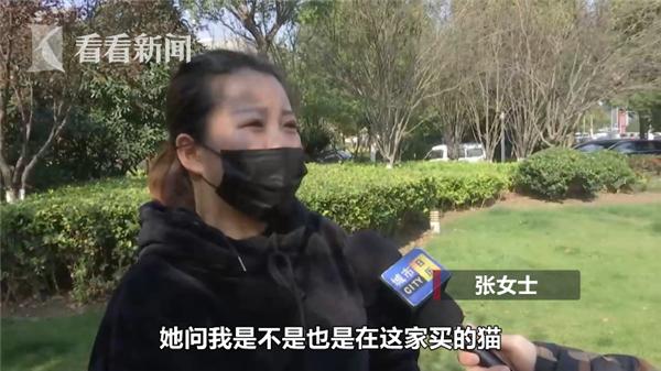 「中国经济网」高价买回宠物猫4天就死了 商家却这样解释……