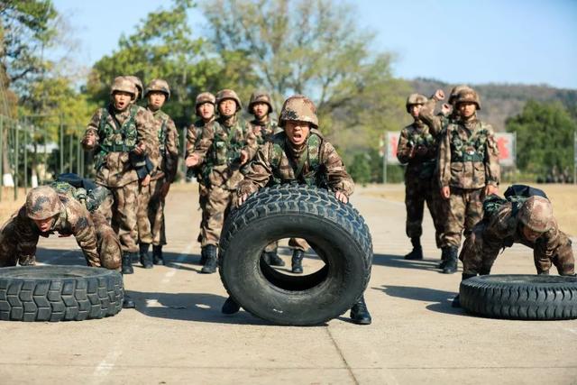 人民前线■翻轮胎、举圆木、卷砖头……合格新兵这样炼成