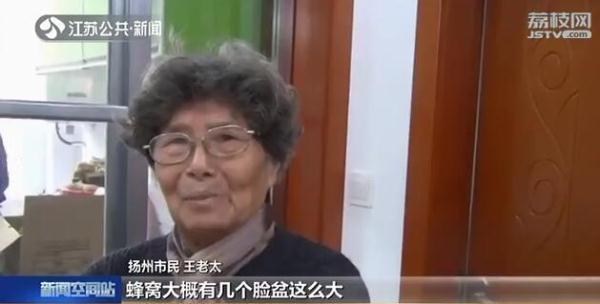光明网：大如澡盆！“巨无霸”蜂窝竟然藏在厨房吊顶里