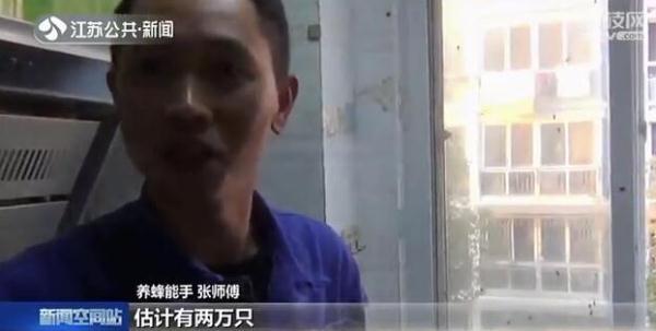 光明网：大如澡盆！“巨无霸”蜂窝竟然藏在厨房吊顶里