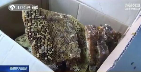 光明网：大如澡盆！“巨无霸”蜂窝竟然藏在厨房吊顶里