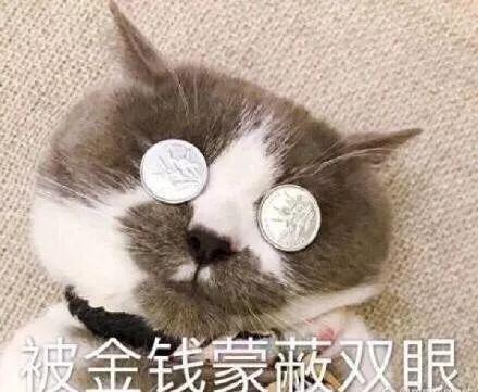环球网：“富二代”坐拥上百双限量球鞋要出售，引来各地网友汇钱