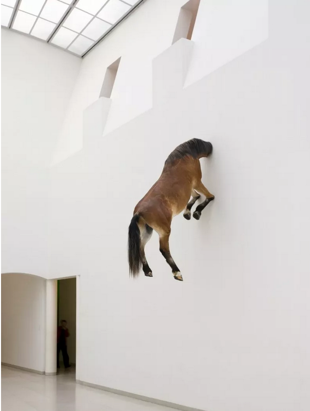 用胶带把香蕉贴在墙上!这个艺术品售价84万元