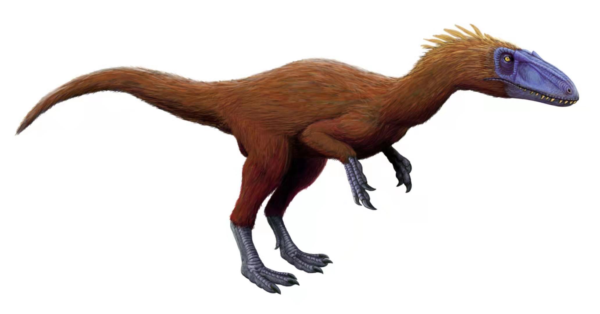 皇家园林千亿年前就曾龙气旺盛河北承德避暑山庄发现大