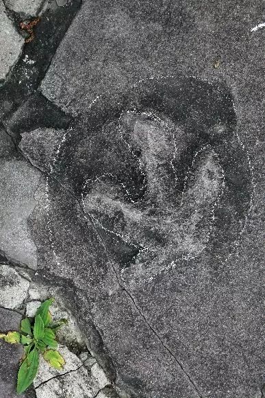 【澎湃新闻】承德避暑山庄成侏罗纪公园？网友：果然是龙脉