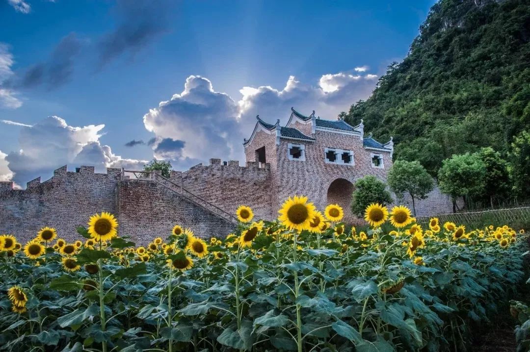 永州這些新興景區成旅遊網紅地你去過哪些