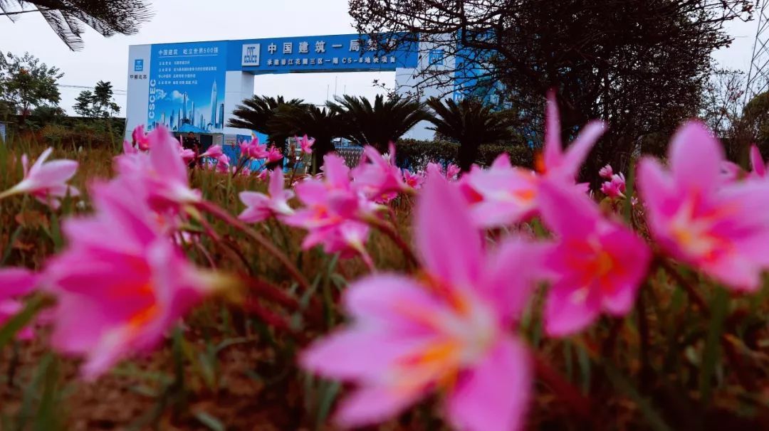 【建设者报】11月最美只差你1票丨中建一局·光影中的中国节摄影大赛