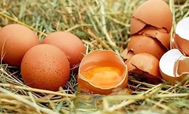 「中国网」健康 | 食物烂了一点还能不能吃？这4类真不能吃，伤肝伤肾