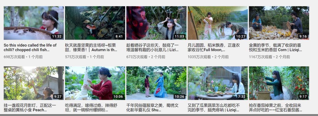 「中国新闻网」我为什么这么喜欢李子柒？网友这样说……