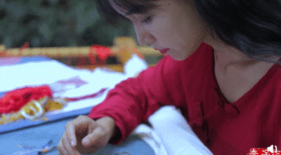 「中国新闻网」我为什么这么喜欢李子柒？网友这样说……