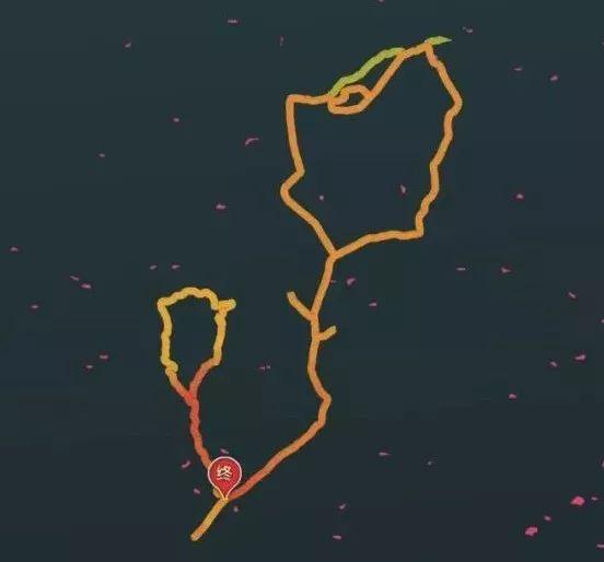 [中国经济网]216朵“玫瑰”！她把生活跑成诗