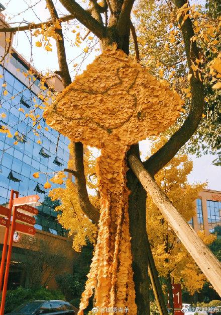 光明网：好秀！成都保洁大妈用银杏拼成风筝挂树上