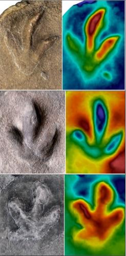「光明网」科学家在承德地区发现多元化恐龙动物群