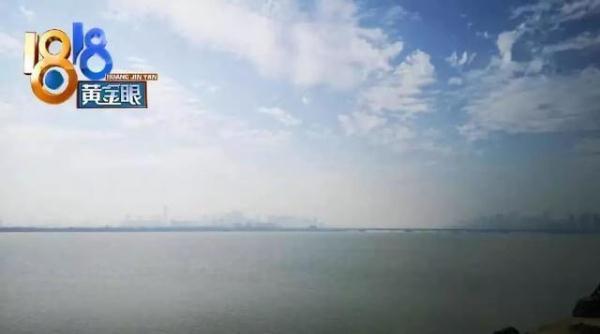 #光明网#电鱼被抓！今天买了数万鱼苗，补偿钱塘江