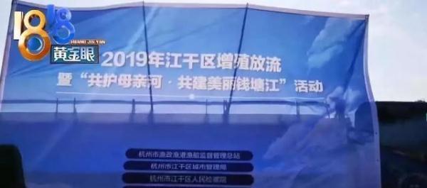 #光明网#电鱼被抓！今天买了数万鱼苗，补偿钱塘江