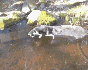 「光明网」今早太冷了！道路结冰引发一连串事故，一辆货车从桥面滑落 昆石高速双向封闭