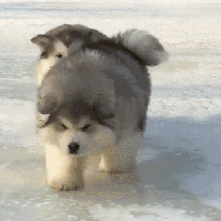 「光明网」今早太冷了！道路结冰引发一连串事故，一辆货车从桥面滑落 昆石高速双向封闭