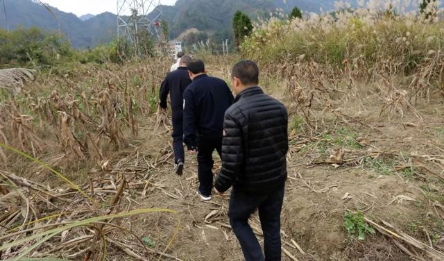 「中国经济网」网红直播污损坟墓、大玩“变态”惩罚遭网友举报