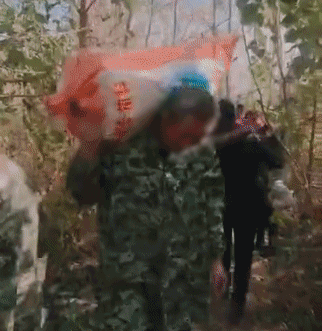 「中国之声」根本拦不住！几千人冲进田里抢光100多万斤萝卜，竟因一句谣言？
