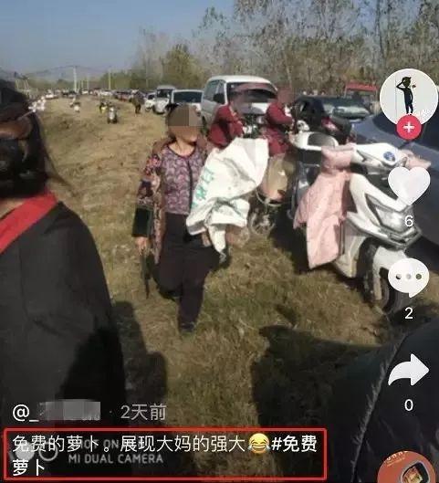 「中国之声」根本拦不住！几千人冲进田里抢光100多万斤萝卜，竟因一句谣言？