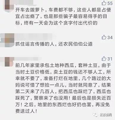 「中国之声」根本拦不住！几千人冲进田里抢光100多万斤萝卜，竟因一句谣言？