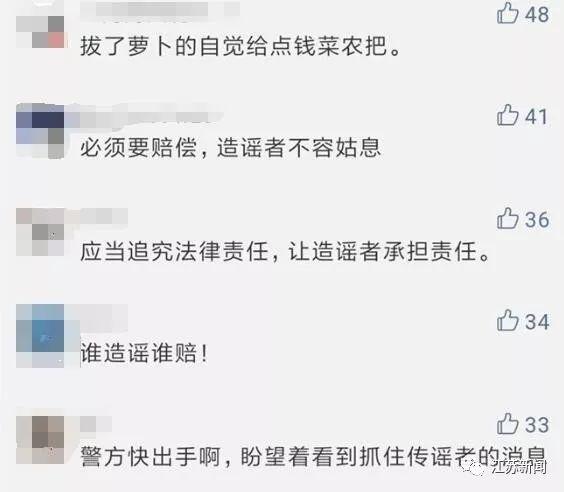 「中国之声」根本拦不住！几千人冲进田里抢光100多万斤萝卜，竟因一句谣言？