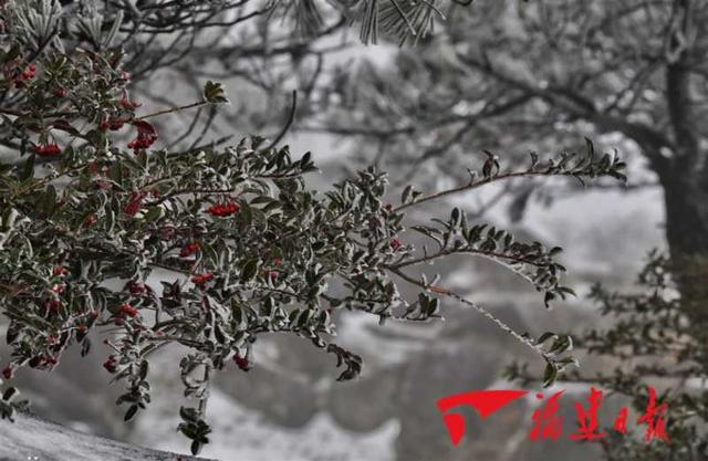 东南网■再见，湿冷攻击！你好，晴冷天气！连续低温来了