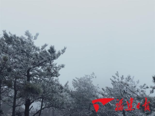 东南网■再见，湿冷攻击！你好，晴冷天气！连续低温来了