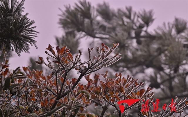 东南网■再见，湿冷攻击！你好，晴冷天气！连续低温来了