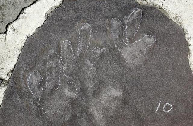 [河北新闻网]承德避暑山庄曾是真正的“侏罗纪公园”？真相来了