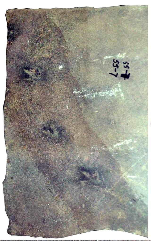 [河北新闻网]承德避暑山庄曾是真正的“侏罗纪公园”？真相来了