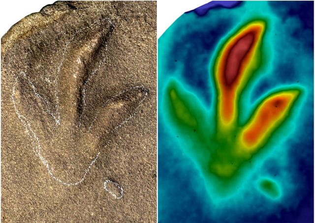 [河北新闻网]承德避暑山庄曾是真正的“侏罗纪公园”？真相来了