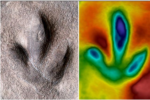 [河北新闻网]承德避暑山庄曾是真正的“侏罗纪公园”？真相来了