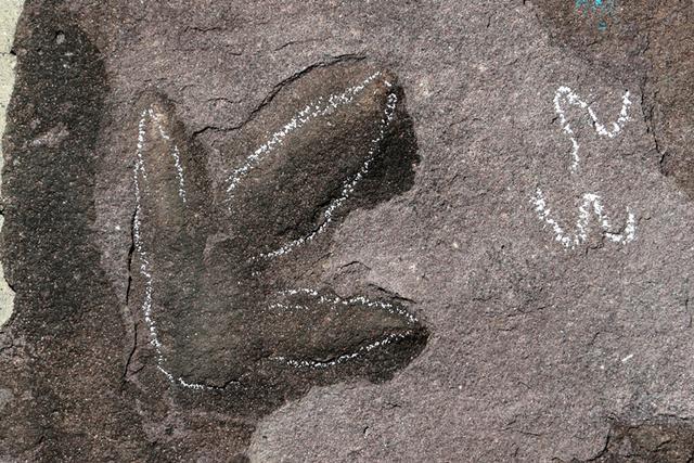 [河北新闻网]承德避暑山庄曾是真正的“侏罗纪公园”？真相来了