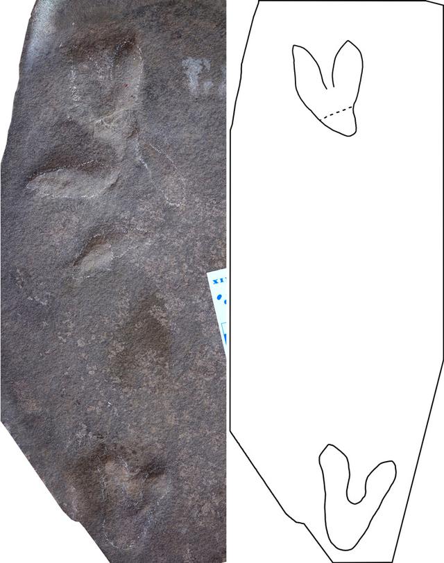 [河北新闻网]承德避暑山庄曾是真正的“侏罗纪公园”？真相来了