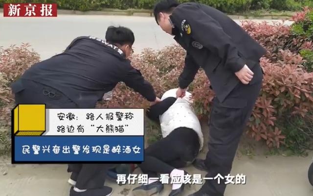 新京报：看完2019迷惑行为大赏，“我太难了”得到了一丝纾解