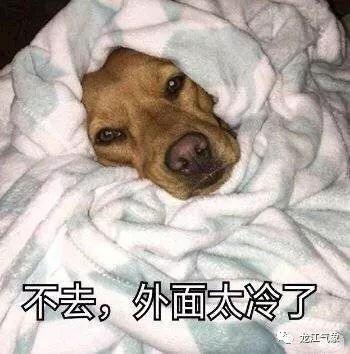 #光明网#您有一条好消息，请注意查收！今天开始升温啦