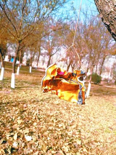 「环球网」十米开外打烂易拉罐 弹弓不发威你当它是玩具？