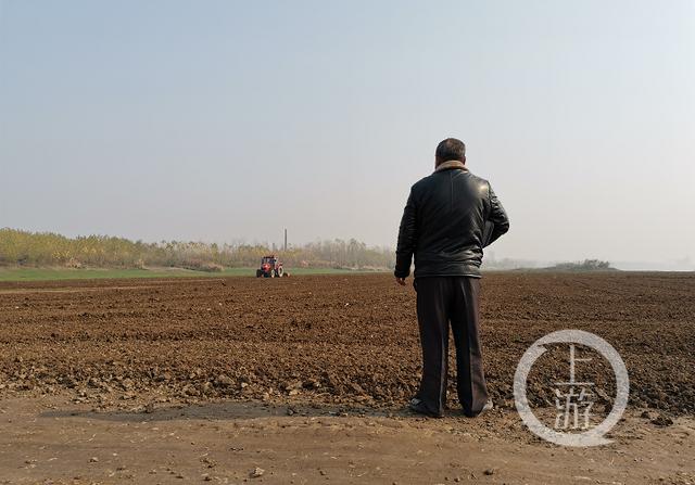 [上游新闻]夜读｜“萝卜不要钱”谣言疯传 农户上百万斤萝卜被数千人拔光｜爸爸陪娃写作业，妈妈玩手机…最后，爸爸坐牢了