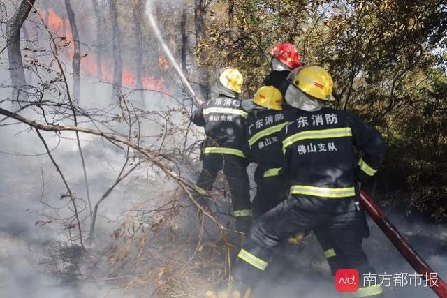 南方都市报：暖心！当地村民给救火消防员送爱心早餐：“你们辛苦了”