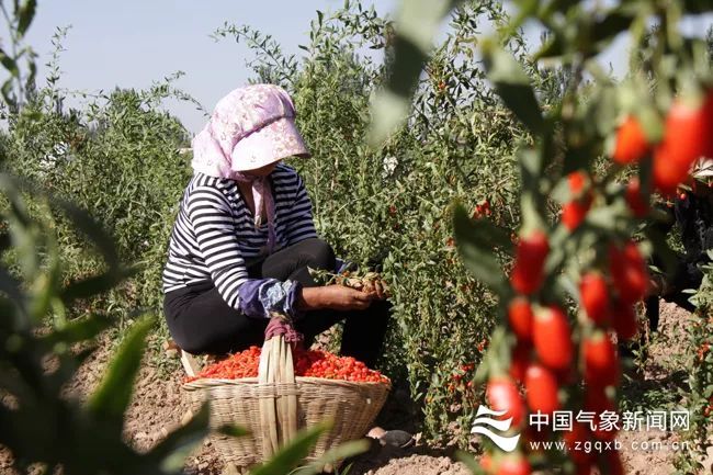 「中国气象局」管理灾害风险 适应气候之变 | 致敬70年气象成就系列报道?