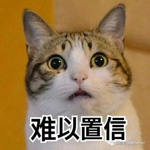「江西交通广播」今天大雪，但没想到气温走上了回暖之旅！？