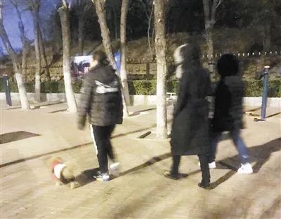 今晚报@调查 | 这些公园问题，得到重视解决