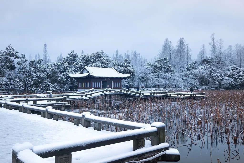 [央视一套]夜话丨大雪：雨雪霏霏，抵不过心中温暖……
