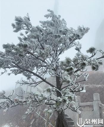 [台海网]九仙山上踏雪赏雾凇 周末泉州依旧“速冻”