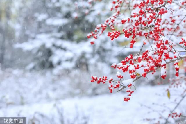 「国际在线」今日大雪