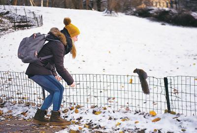 「人民网」纽约中央公园初雪迎客