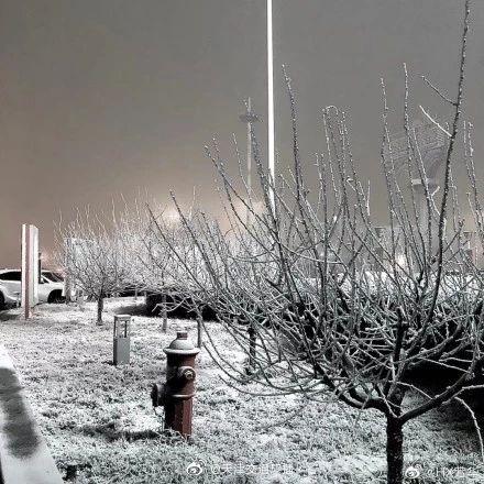 光明网：下雪了！你看到了吗？